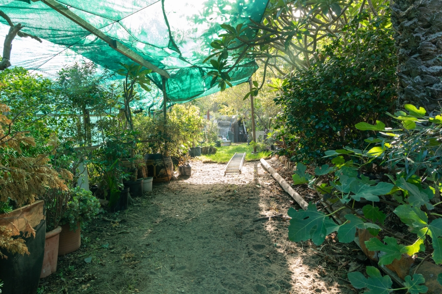 3 Bedroom Property for Sale in Camps Bay Western Cape